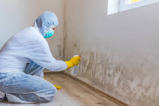 Licensed Mold Testing service in Richmond, VA - WQB Mold Removal