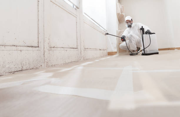 24/7 Emergency Mold Testing experts in Richmond, VA