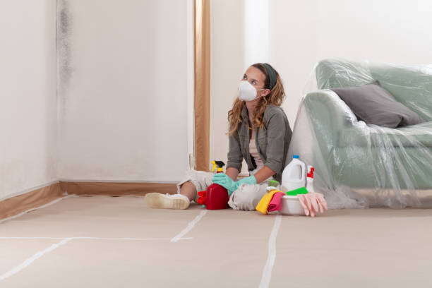 Reliable Mold Testing contractor in Richmond, VA by WQB Mold Removal