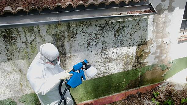 Top rated local Mold Testing specialists in Richmond, VA